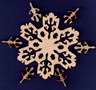 2008 gecko design